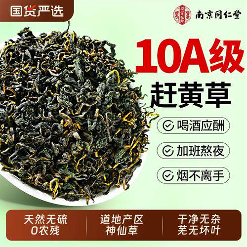 南京同仁堂赶黄草官方经营店正品肝苏四川古蔺特级中草药材养生茶