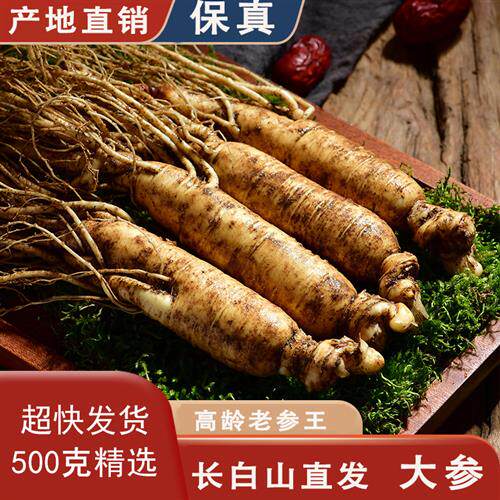 [正宗]长白山鲜人参带土鲜参现挖特大 东北半野山参 煲汤泡酒500g