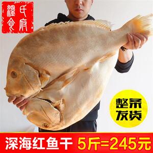 5斤整条风干大咸鱼 湛江海鲜特产地方特色农家自制腊鱼送礼红鱼干