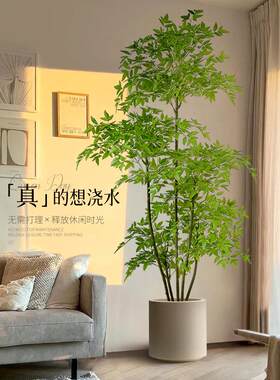 南地纳竹模拟绿色植物大型客厅落地式装饰室内沙发假植物盆景