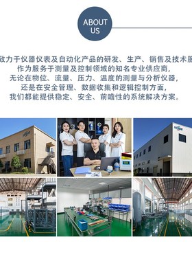 VEGAWAVE63.CXAGDNKMX超声波液位计VEGA SON61 SN61-UFAGHANXX