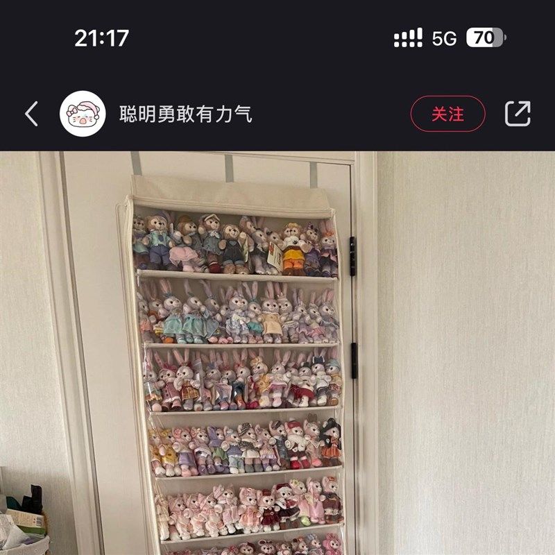 门后棉花娃娃收纳挂袋-棉布-透z明-密封-防尘-配套挂钩-(订制款)