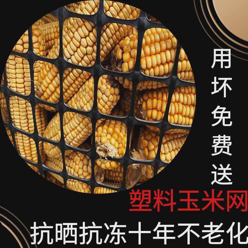 玉米储存仓网囤网圈围装晾晒玉米网棒子网养鸡围栏塑料养殖围栏网