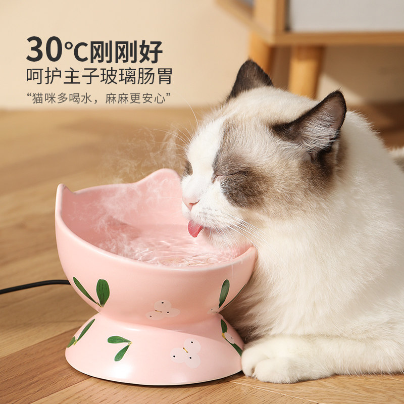 猫咪恒温饮水机宠物加热冬天喝水神器狗狗喝水器自动猫用温水猫碗