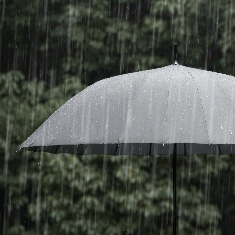 左都雨伞男加大加固加厚长柄伞z大号超大自动双人直把伞直柄直杆
