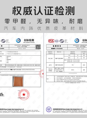 零跑C10/C11/C01/C16头枕腰靠汽车内饰用S品靠枕护颈枕车用新