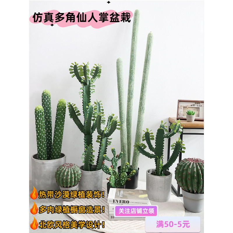 仿真多角仙人掌热带沙漠绿植物摆设室内造景假盆景落地栽多肉绿植