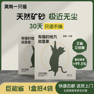 窝有一只猫砂矿砂除臭无尘