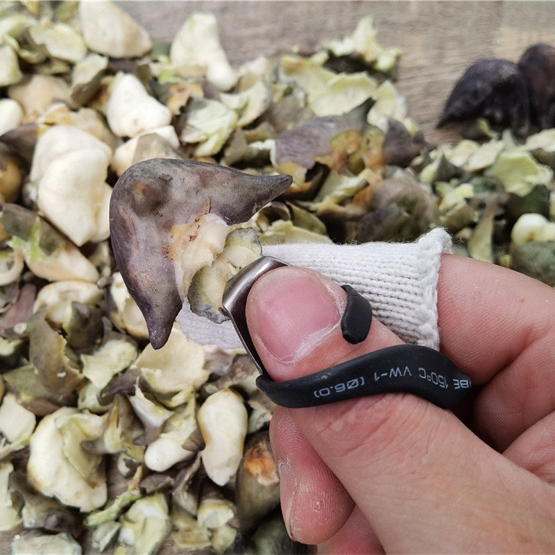 剥菱角神器菱角剥壳器剥毛豆神器鸡米头剥壳神器剥菱角工具菱角刀
