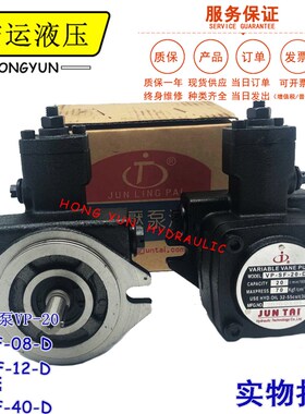俊泰JUN TAI叶片泵VP-SF-20-D VP-SF-12/15-D VP-SF-30/40-D 油泵