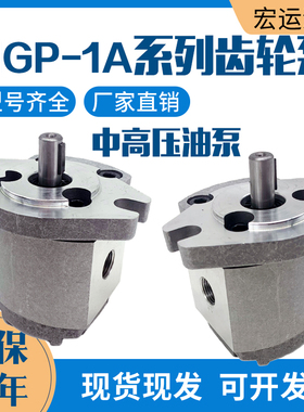 HGP-1A-F1R F2R F3R F4R F5R F6R F8R F4L 高压齿轮油泵液压泵 L