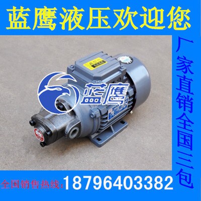 BAB-3油泵BRB-1 3 2 4 5 6三角润滑泵1/4HP摆线齿轮油泵电机泵组Y