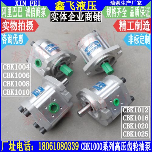 CBK1004 CBK1006 CBK1008 CBK1010高压齿轮油泵B2RF B1RT B1LT