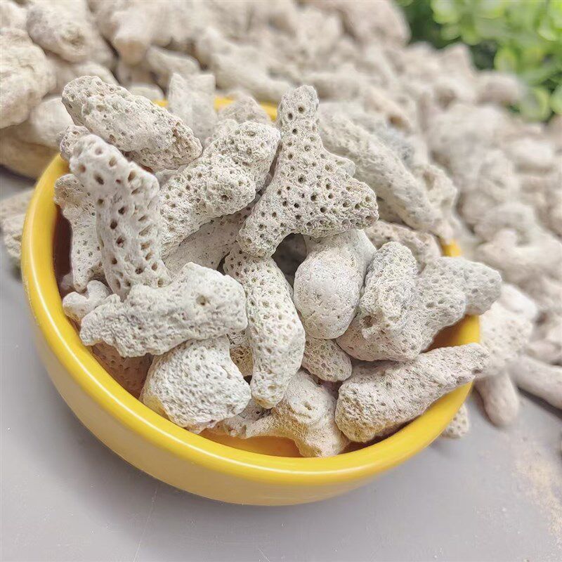 现货供应 珊瑚砂  珊瑚s骨 珊瑚纲 鱼缸造景装饰水族馆过滤 珊瑚