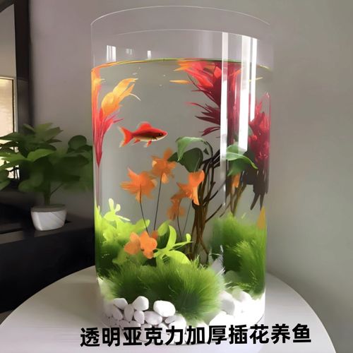 防摔透明亚克力圆柱形鱼缸t圆桶家用客厅厨房观赏花瓶摆设婚庆装