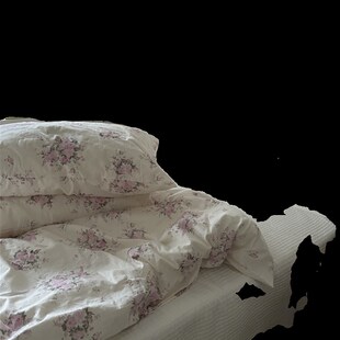 230cm 200 梨梦单品 韩系小碎花40支单件被w套全棉被罩150