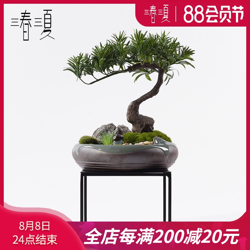 仿真植物迎客松罗汉松盆景摆件新中式茶室酒店玄关室内假绿植盆栽