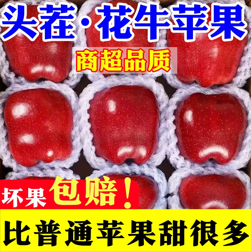 新品花牛苹果抢先品尝！