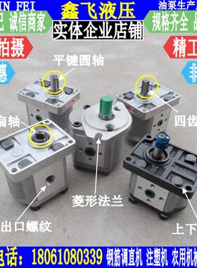 高压齿轮泵CBHT-E310-BFHL钢筋调直剪板机泵CBT-E310液压油泵FER2