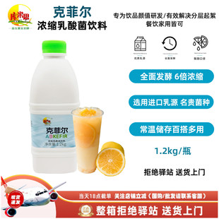 【1.2kg】克菲尔浓缩乳酸菌饮料瓶装6倍浓缩全面发酵1.2kg库米思
