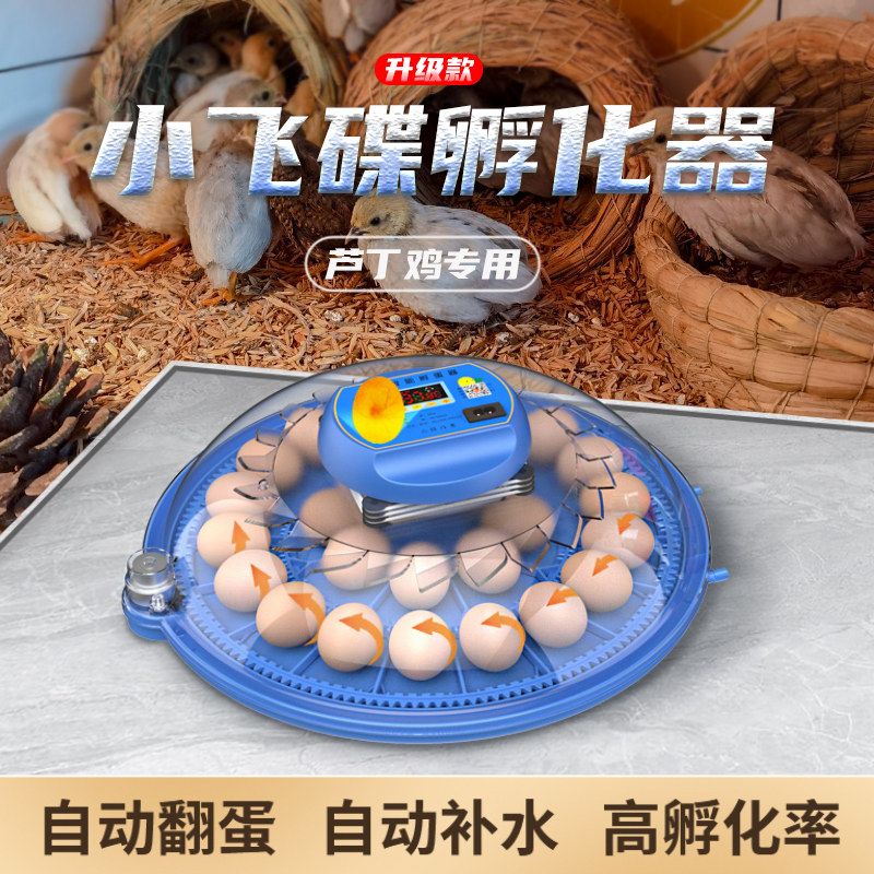 威振小飞碟孵化器小型家用迷你孵化机智能全自动鸟蛋芦丁鸡孵蛋箱