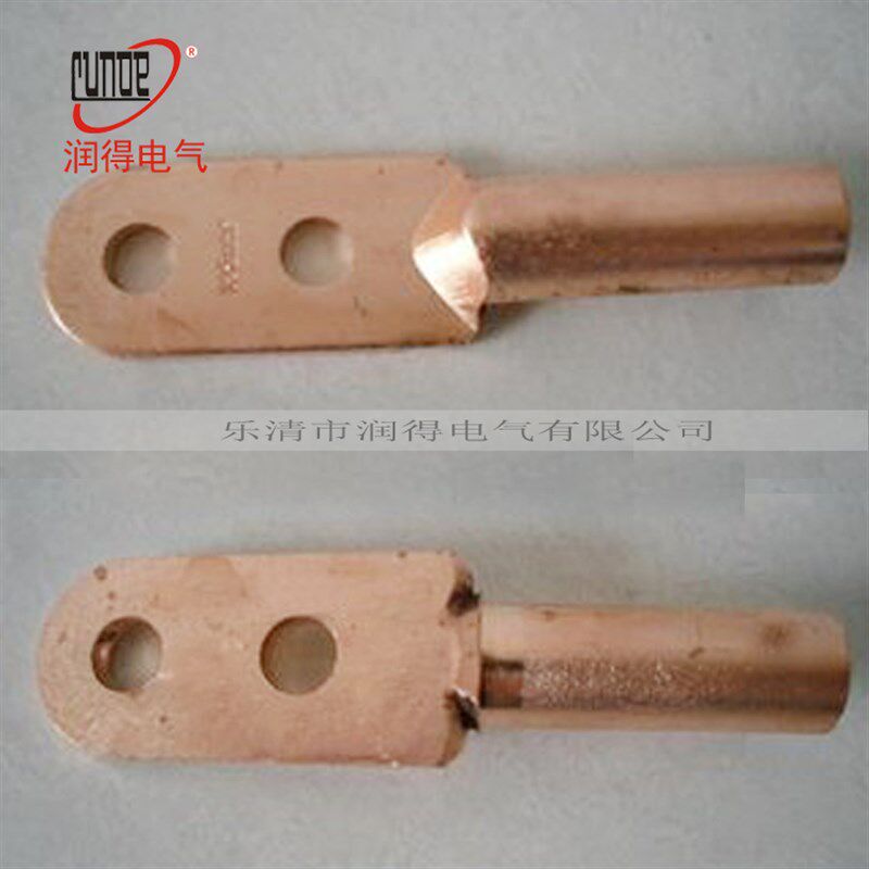 DT-50 双孔 铜鼻子 线鼻子铜端子 铜接线端子 铜线耳 大号20只