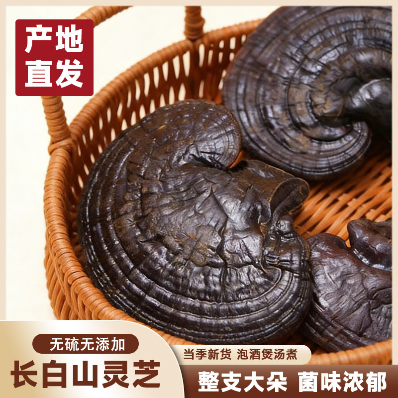 大朵灵芝500g一斤装正品长白山紫灵芝灵芝片正品泡酒灵芝养生茶