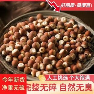 肇庆特级一等品芡实干货正宗红皮欠实鸡头米新货干货【新疆停发】