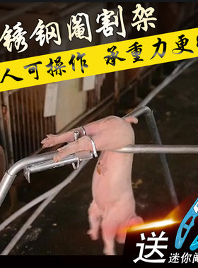 仔猪阉割架敲猪架阉猪刀阉割仔猪去势刀阉猪固定架阉猪架养猪设备