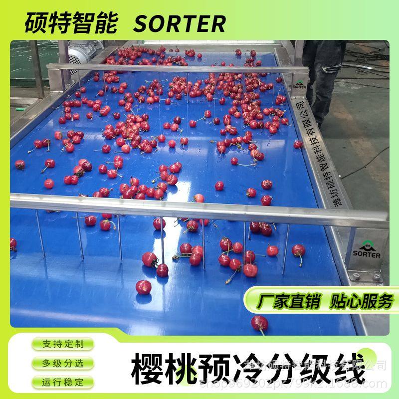樱桃车厘子分选设备山楂圣女果选果机滚杠式水果分拣设备 支持定,清洗/食品/商业设备,洗果机/洗菜机,淘宝优惠券,粉丝福利购,淘宝优惠卷