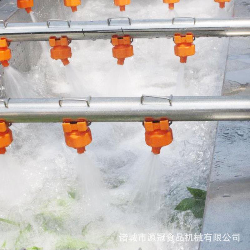 大枣清洗机 果蔬清洗生产线 厂家供应 全自动高压清洗设备