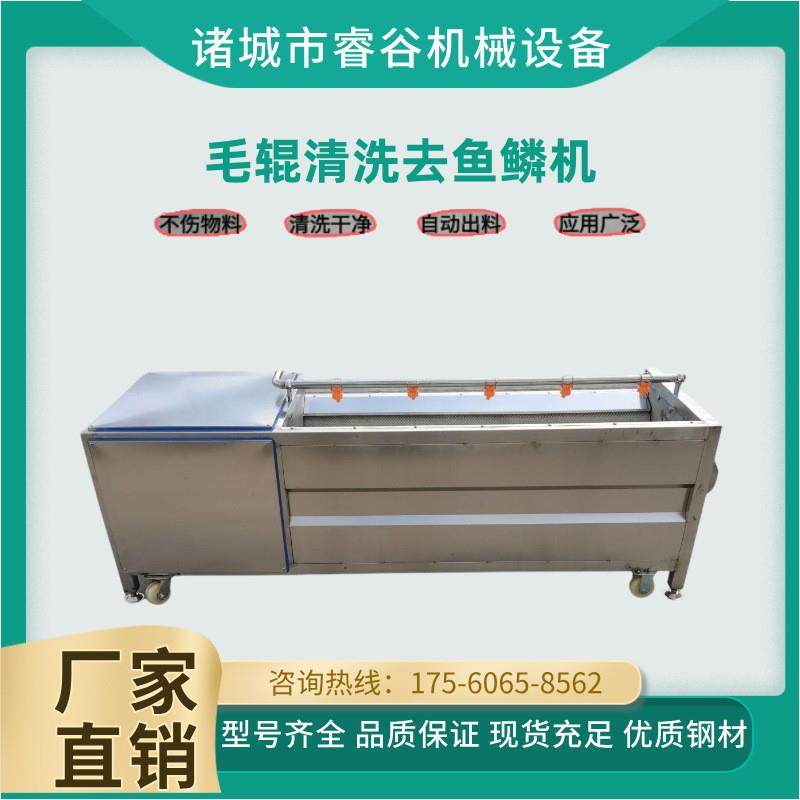 全自动鲜鱼去鳞机不锈钢材质 鲫鱼除鳞机鱼体无损伤电动脱鱼鳞机