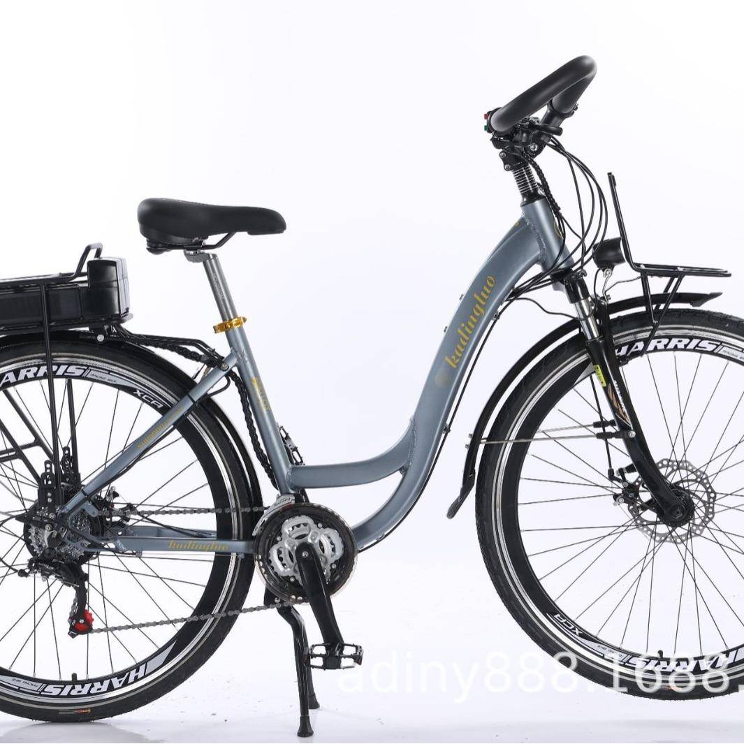 厂家直销0252款2山HCU6寸48V10A锂电助力地车折叠雪地新车公路车