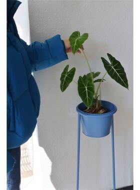 7嘻物所普鲁士蓝色花架W室内极简约可移设计动现阳台花GYO盆客厅