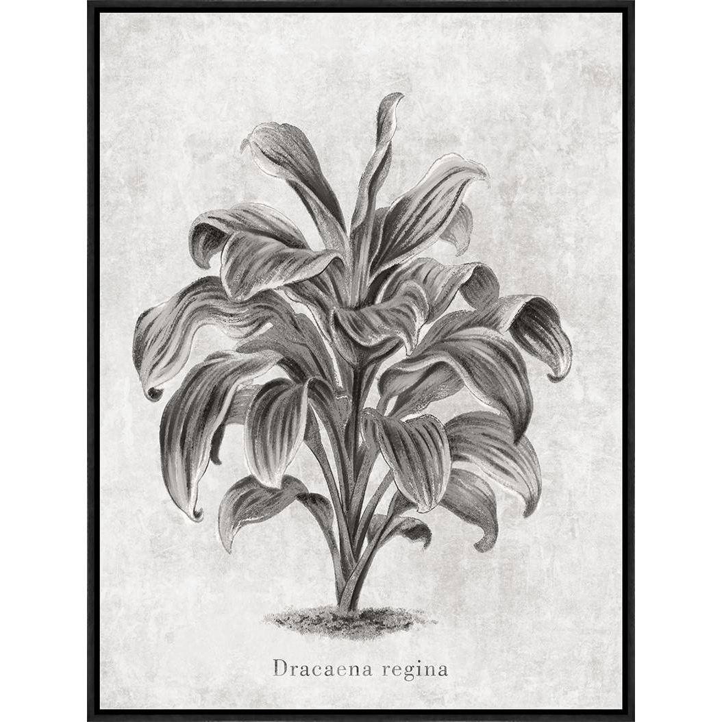 现货 半手绘现代花卉装饰画 轻奢阴影简约客厅时尚卧室油画图片