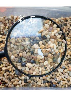 灰色水小洗洗石洗WRR米石价格洗米雨花石白色石头水地石坪石