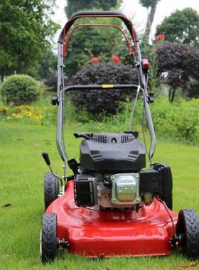 零大功率四冲程手推区式汽油草机售小草坪绿化修剪割草GD240802坪