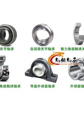 ina轴承LR6066-2RXFOSRR-HLCLP07NPULR204NPPLR606-2RSRLR200-2R