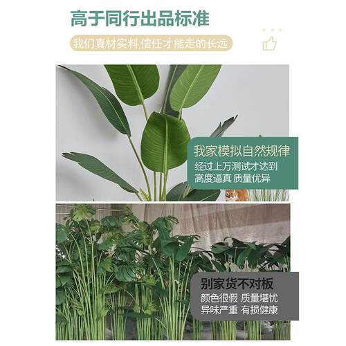 仿真绿植造景办公室楼梯厅下装饰旅人客蕉植仿生假物阳台ldlz摆件