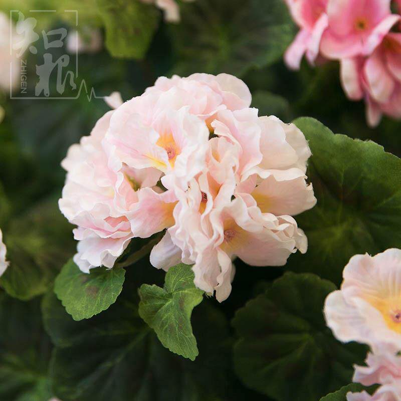 仿真壁挂花植仿绿真花壁挂海棠花藤藤藤蔓条花HTHT-001藤安徽