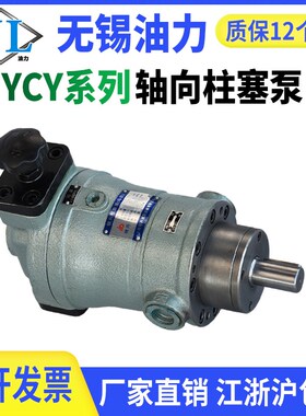 轴向柱塞泵10YCY/16/25/32/40/63/80/100/160/250/400YCY14-1B