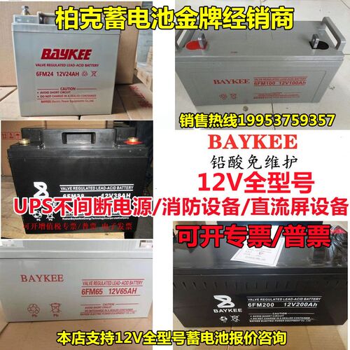 BAYKEE柏克蓄电池6FM65 12V7AH17AH24AH33AH38AH65AH100AH消防UPS