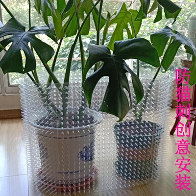 5片防猫垫栅栏驱猫刺网防猫爬刺垫驱野猫刺驱狗送纳米胶贴10个