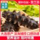 即食海参500g刺参单个装 鲜活辽参大连非淡干货孕妇野生海生经营店