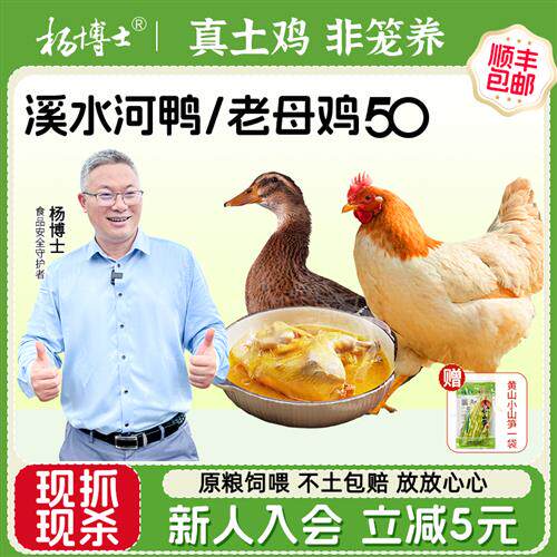 杨博士皖南深山散养土鸡新鲜现杀现发老母鸡孕妇月子鸡柴鸡草地鸡