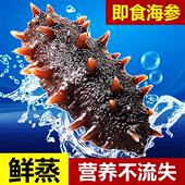 海参大连即食海参辽刺参鲜活野生辽参刺参淡干礼盒装 海参经营店