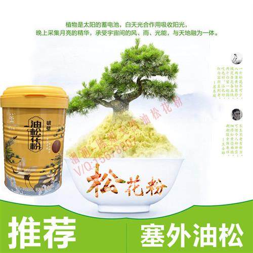 推荐 陈姐 塞上松 东北天然油松松花粉 无添加 高破壁 新罐装150g