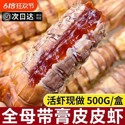 全母皮皮虾鲜活冷冻特大虾爬子椒盐非即食琵琶虾濑尿虾姑海虾海鲜