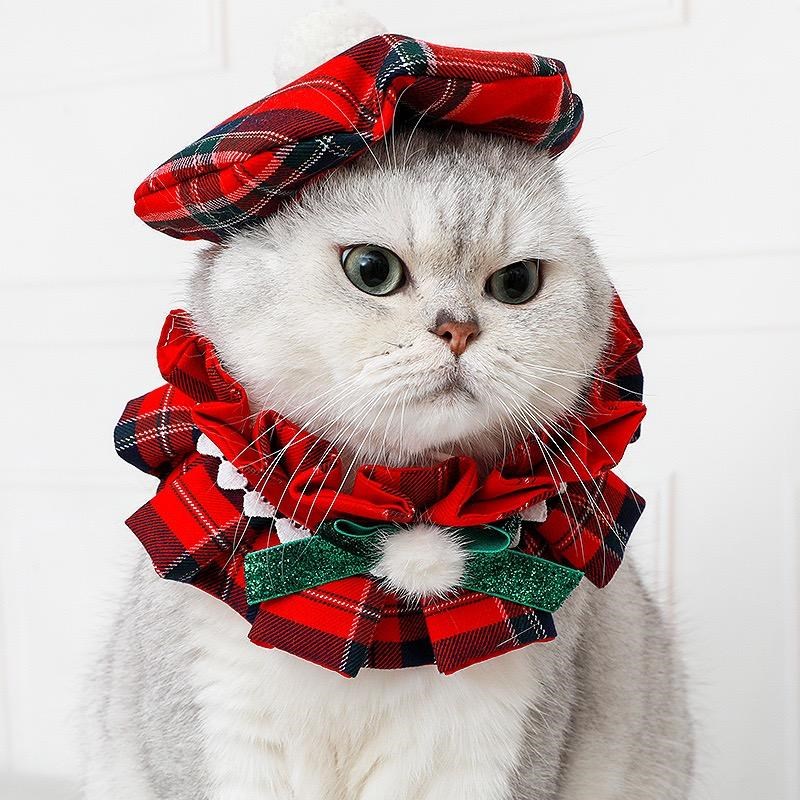 猫咪圣诞节帽子项圈围兜格子英伦风围脖头饰英短美短喜庆装扮可爱