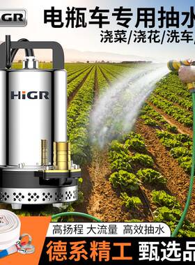 直流潜水泵12V抽水机24V48V60V伏电动车电瓶车农用小型家用抽水泵